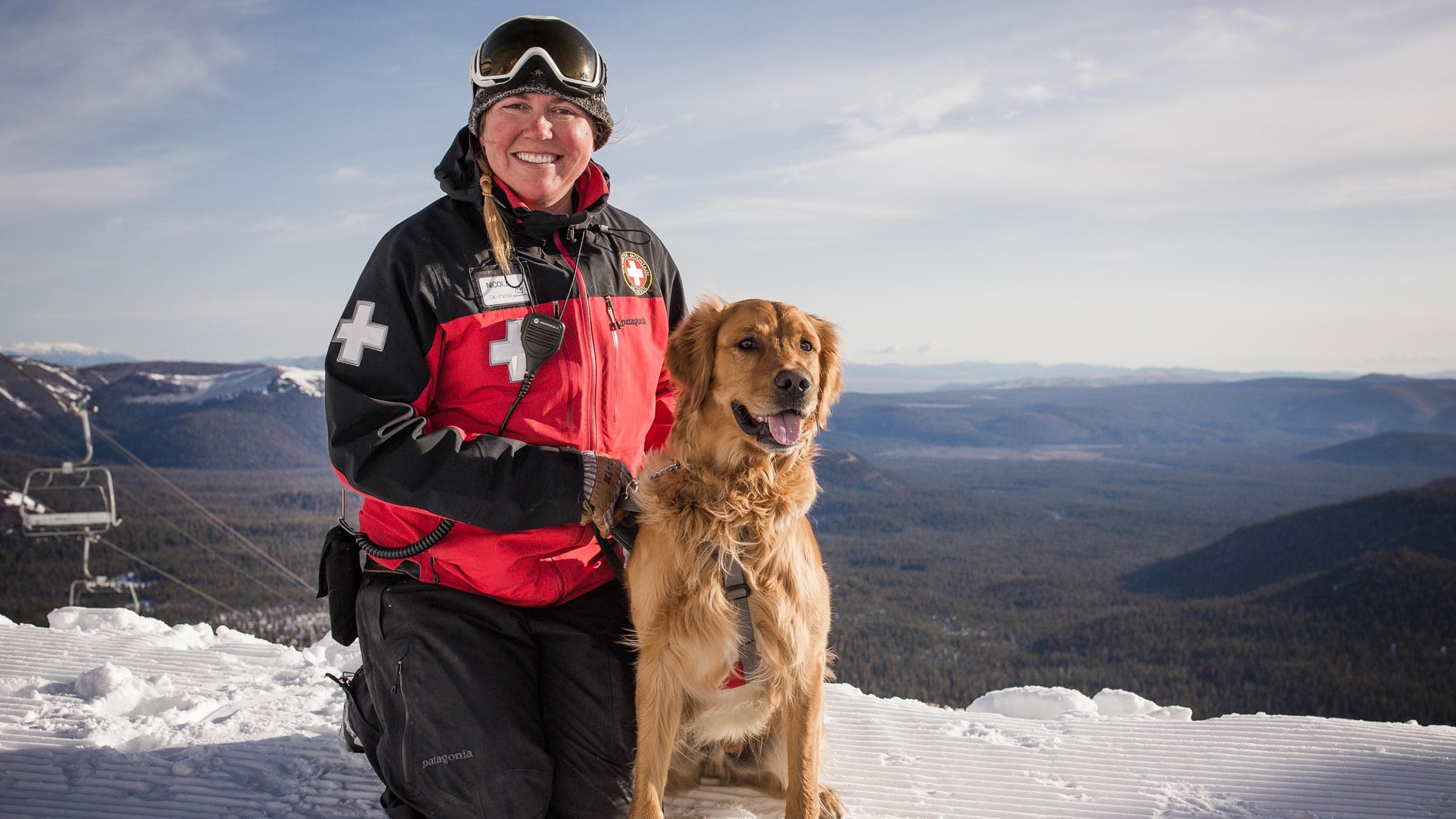 Avalanche Dog Duke