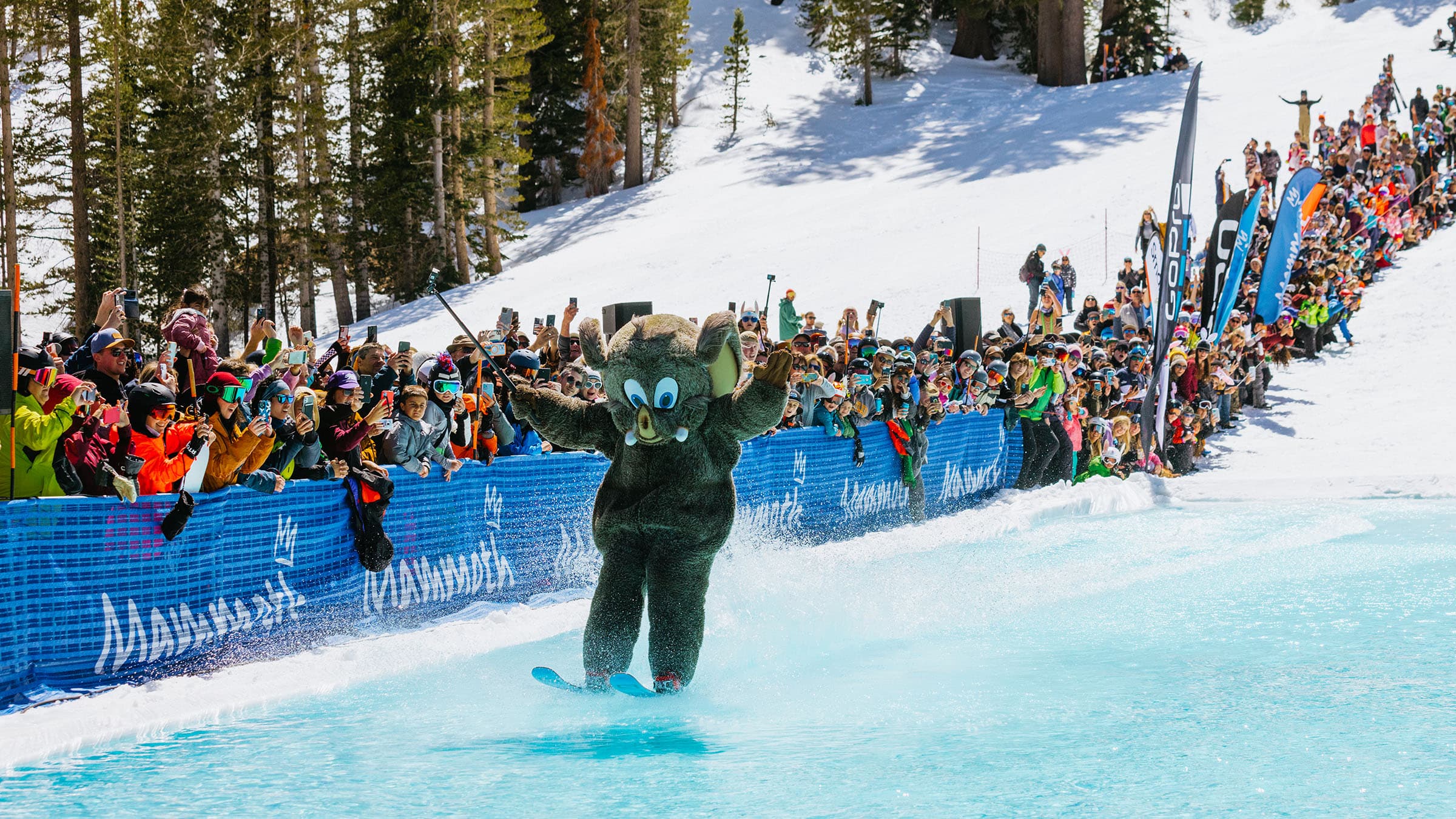 Woolly skiing the Pond Skim at Canyon Lodge